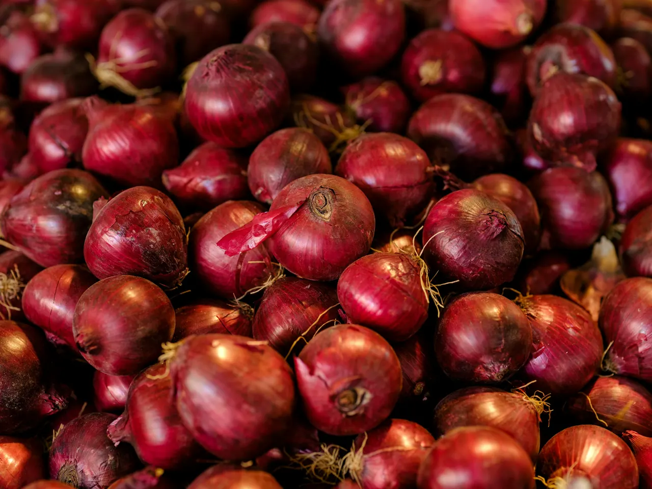 A pile of fresh red onions with dry, papery outer skins