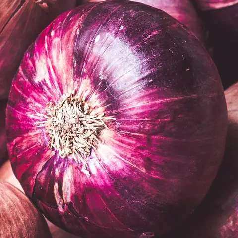 Fresh red onion — Red Onion variety