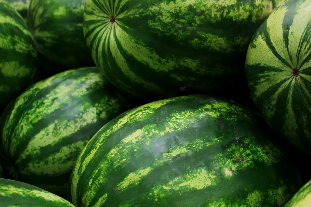 Whole striped green watermelons stacked together
