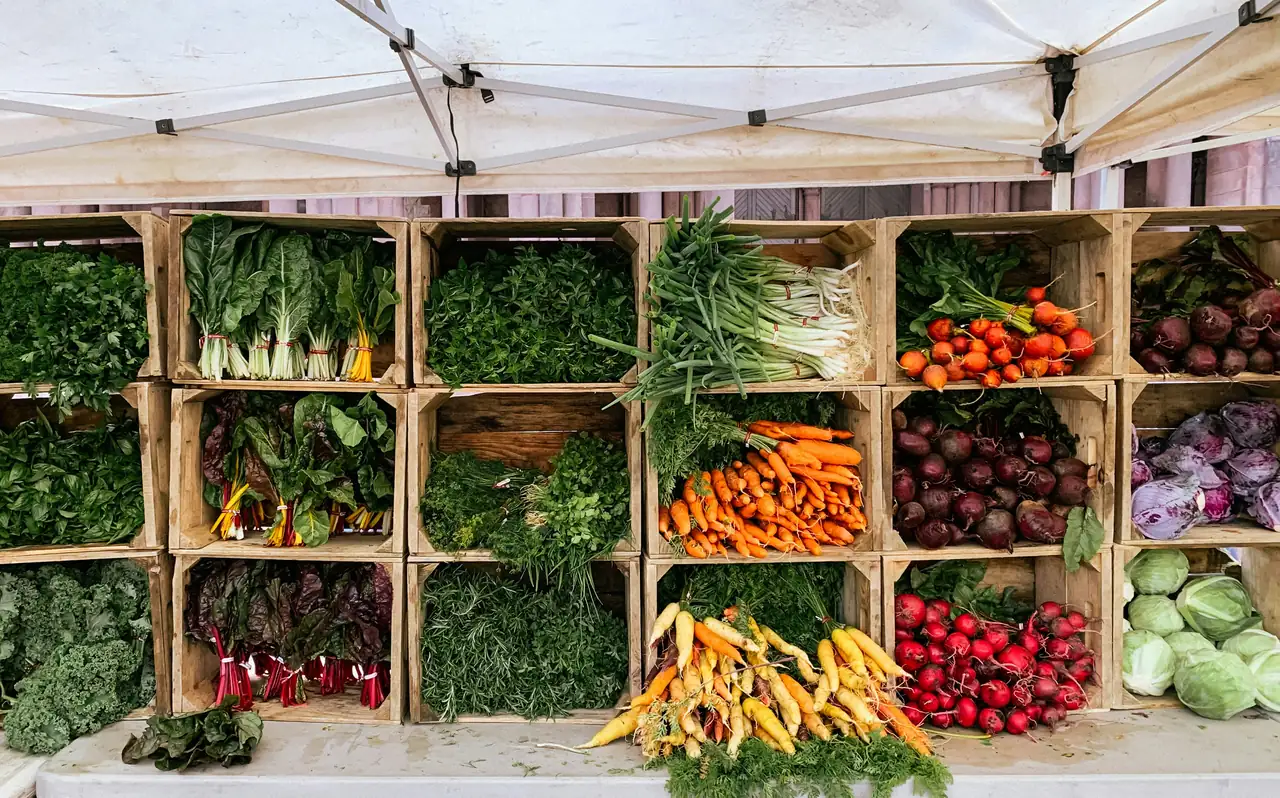 A variety of fresh vegetables arranged in wooden crates
